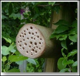 Making a Solitary Bee Motel