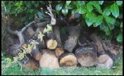  Why make a log pile?
