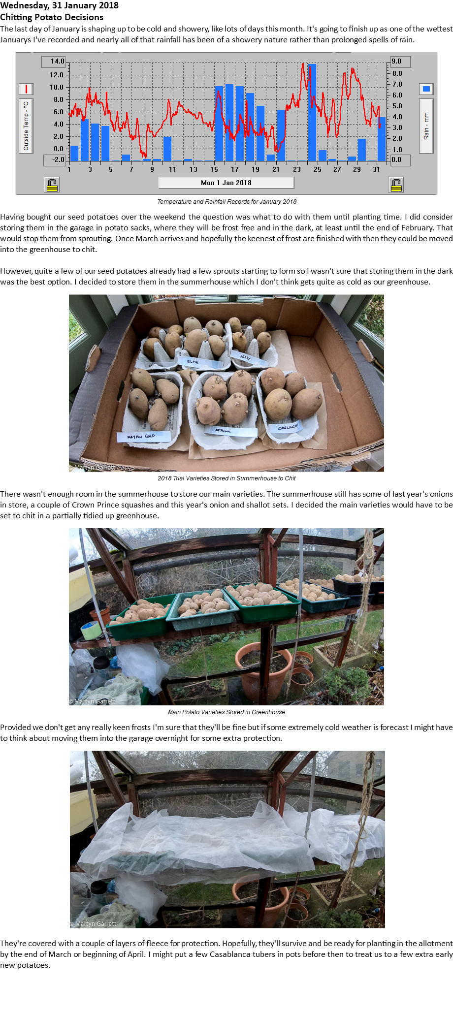 Wednesday, 31 January 2018 Chitting Potato Decisions The last day of January is shaping up to be cold and showery, like lots of days this month. It's going to finish up as one of the wettest Januarys I've recorded and nearly all of that rainfall has been of a showery nature rather than prolonged spells of rain. ﷯ Temperature and Rainfall Records for January 2018 Having bought our seed potatoes over the weekend the question was what to do with them until planting time. I did consider storing them in the garage in potato sacks, where they will be frost free and in the dark, at least until the end of February. That would stop them from sprouting. Once March arrives and hopefully the keenest of frost are finished with then they could be moved into the greenhouse to chit. However, quite a few of our seed potatoes already had a few sprouts starting to form so I wasn't sure that storing them in the dark was the best option. I decided to store them in the summerhouse which I don't think gets quite as cold as our greenhouse. ﷯ 2018 Trial Varieties Stored in Summerhouse to Chit There wasn't enough room in the summerhouse to store our main varieties. The summerhouse still has some of last year's onions in store, a couple of Crown Prince squashes and this year's onion and shallot sets. I decided the main varieties would have to be set to chit in a partially tidied up greenhouse. ﷯ Main Potato Varieties Stored in Greenhouse Provided we don't get any really keen frosts I'm sure that they'll be fine but if some extremely cold weather is forecast I might have to think about moving them into the garage overnight for some extra protection. ﷯ They're covered with a couple of layers of fleece for protection. Hopefully, they'll survive and be ready for planting in the allotment by the end of March or beginning of April. I might put a few Casablanca tubers in pots before then to treat us to a few extra early new potatoes. 