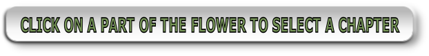 CLICK ON A PART OF THE FLOWER TO SELECT A CHAPTER