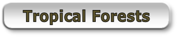 Tropical Forests