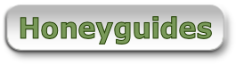 Honeyguides